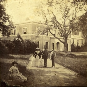 Haresfoot_bk11945_293