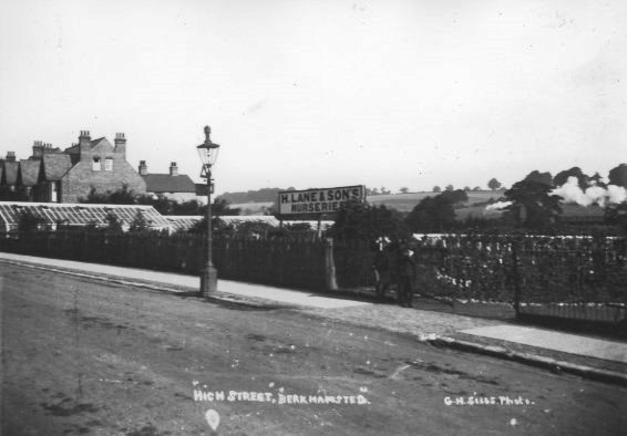Lane's Nurseries_bk11945_83