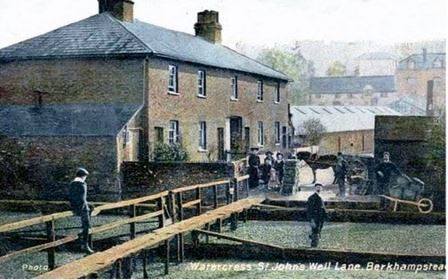 Watercress beds_St John's Well Lane