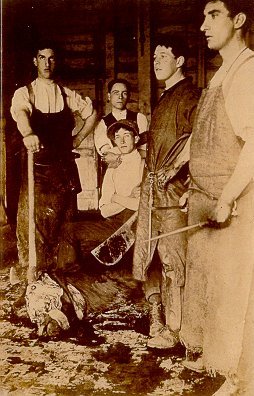 Tompkins Slaughter House